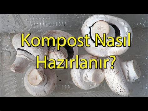 Kültür mantarı kompost satışı